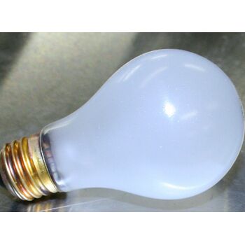 Light Bulb - 100W Teflon